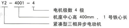 YR系列(H355-1000)高压Y6303-8/1400KW三相异步电机西安西玛电机型号说明